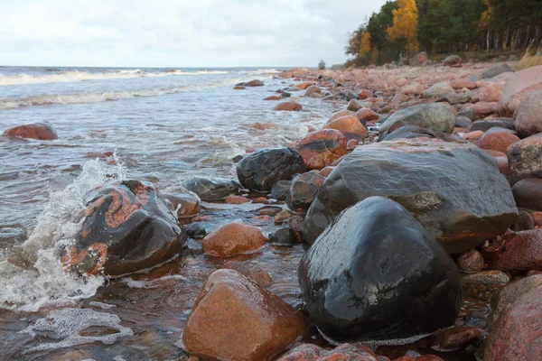 Krajina ráno Baltské pobřeží — Stock fotografie