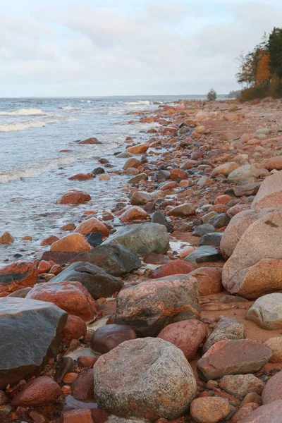 Scenario mattutino di una riva baltica — Foto Stock