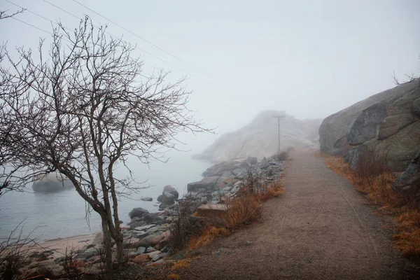 Mistige ochtend pad in Noorwegen — Stockfoto