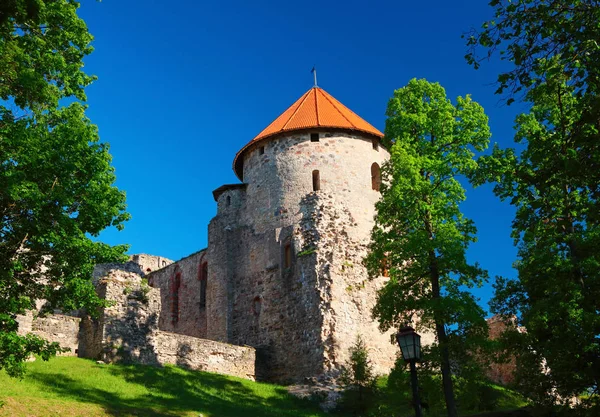 Medieval baltic castle — Stock Photo, Image