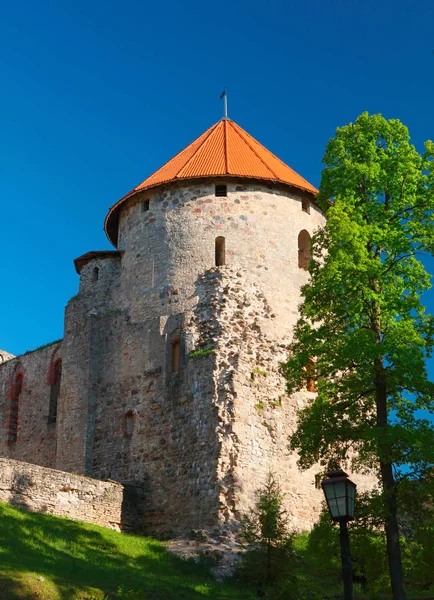 Ortaçağ Baltık Kalesi — Stok fotoğraf