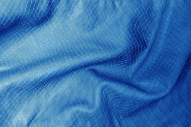 Deri yılan arkaplan dokusu, 2020 yılının klasik mavi rengine uygun tanecikleme desenleri..