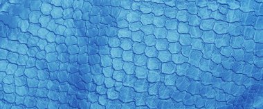 2020 yılının klasik mavi rengine uygun tahıl desenli deri yılan arkaplan deseninin pankartı.