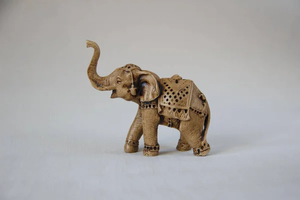 Elephant Trunk Grey Background — Stock Photo, Image