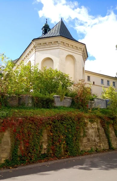 Manastırın duvarlarında Ivy