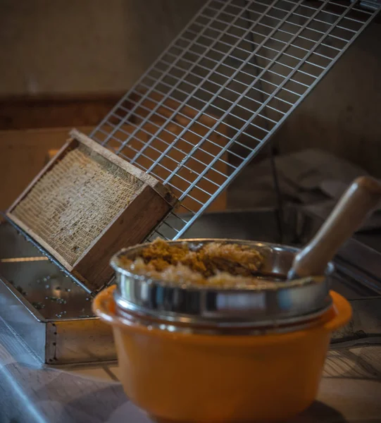 Lubiec. Polen. 2018. Bienen und Bienenstöcke — Stockfoto