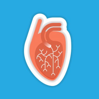 İnsan kalbi düz illüstrasyon