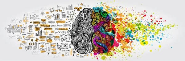 Concepto de cerebro humano derecho izquierdo. Parte creativa y parte lógica con garabatos sociales y empresariales — Vector de stock