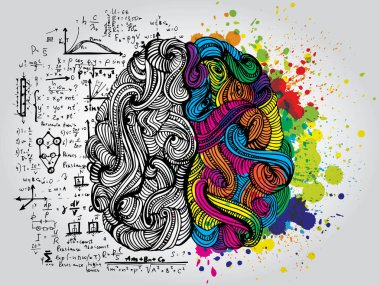 Sol ve sağ insan beyni. Yaratıcı yarım ve mantık insan aklının yarısını. Vektör çizim.