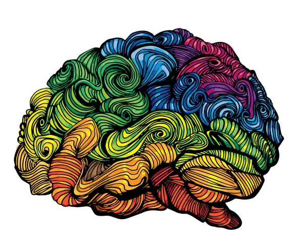 Illustration einer Gehirnidee. Doodle-Vektorkonzept über das menschliche Gehirn. Kreative Illustration mit farbigem Gehirn und grauer Materie — Stockvektor