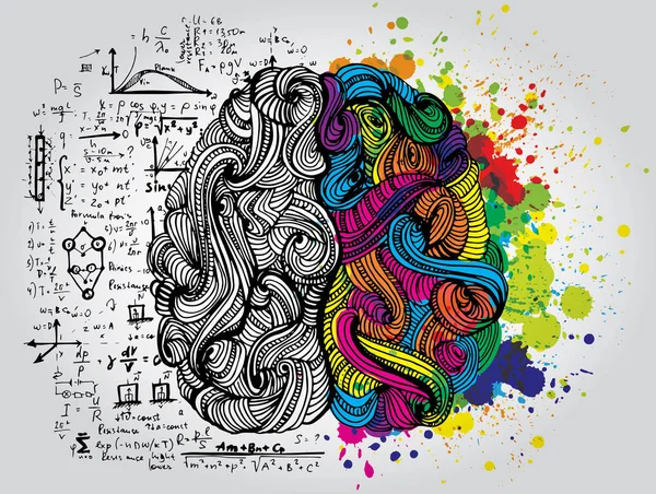 Cerebro humano izquierdo y derecho. Mitad creativa y mitad lógica de la mente humana. Ilustración vectorial . — Archivo Imágenes Vectoriales