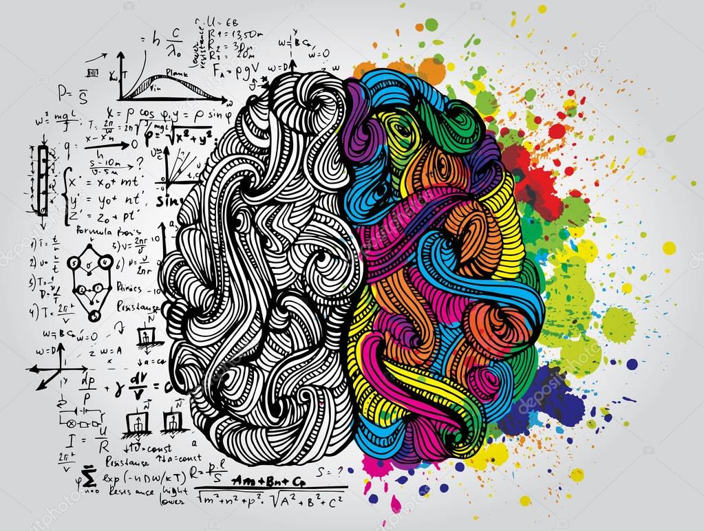Left and right human brain. Creative half and logic half of human mind. Vector illustration.