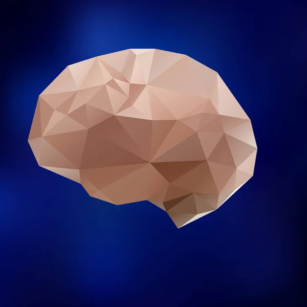 Human brain triangle illustration. Triangled brain, medical model — Stock Vector