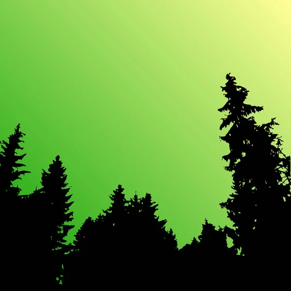 Vector bos landschap silhouet. Realistische bomen, bossen silhouetten in nacht en avond van de hemel. Buiten natuur scène met dennen en sparren — Stockvector