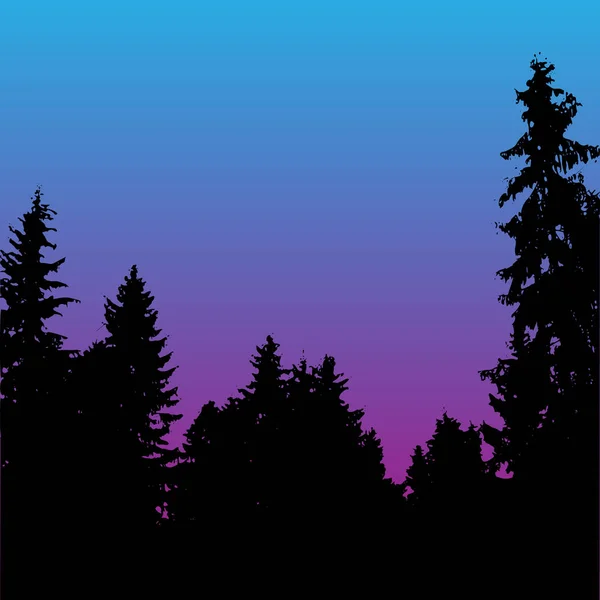 Vektor lesní krajina silueta. Realistické stromy, lesy siluety v noci a večerní oblohy. Venkovní přírodní scéna s borovicemi a smrky — Stockový vektor