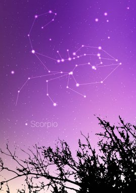 Akrep zodyak takımyıldızlarını orman manzara siluet galaxy ve arkasında boşluk güzel yıldızlı gökyüzü üzerinde abone. Akrep Astroloji sembolü takımyıldızı derin cosmos arka plan üzerinde. Kart tasarımı