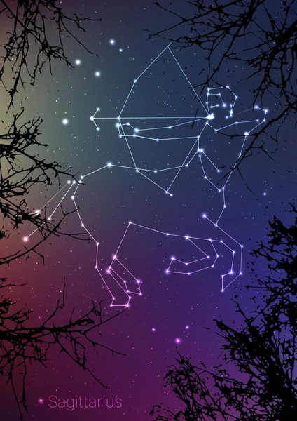 Sagittarius zodiac constellations sign with forest landscape silhouette on beautiful starry sky with galaxy and space behind. Sagittarius horoscope symbol constellation on deep cosmos background. — Stock Vector