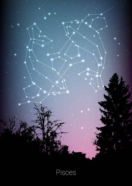 Balık burcu zodyak takımyıldızlarını orman manzara siluet galaxy ve arkasında boşluk güzel yıldızlı gökyüzü üzerinde abone. Balık Astroloji sembolü takımyıldızı derin cosmos arka plan üzerinde. Kart tasarımı