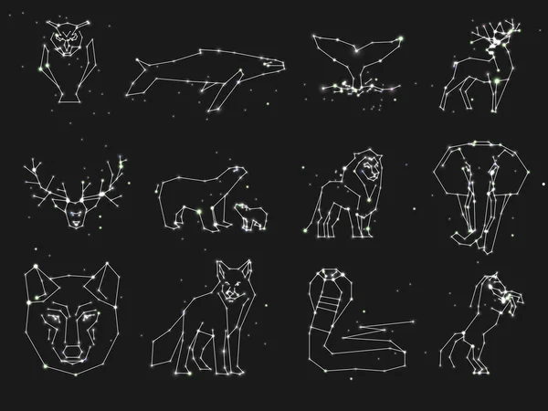 Colección de animales constelación en el cielo oscuro. Animales salvajes con línea y estrellas, estilo horóscopo. Animales de constelación para cartas, elefantes, búhos, lobos y otros animales — Vector de stock