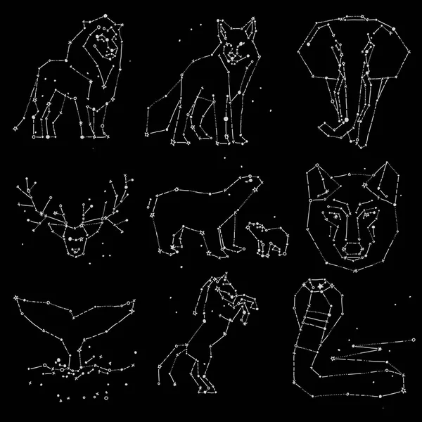 Coleção de mão desenhar animais constelação no céu escuro. Animais selvagens esboçados com linha e estrelas, estilo horóscopo. Doodle constelação animais para cartões, elefante, coruja, lobo e outros selvagens —  Vetores de Stock