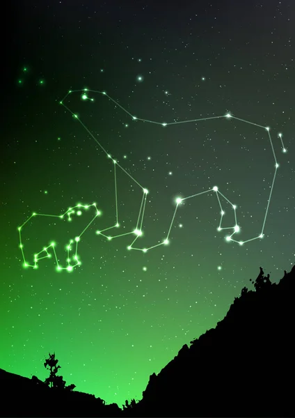 Ursa Mineure et Majeure sur ciel nègre avec paysage forestier. Ours dans une constellation brillante et poligon étoilé dans l'hémisphère nord avec aurores boréales. Mineure étoilée et majeure Ursa — Image vectorielle