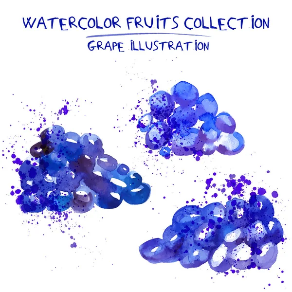 Set of watercolor grapes vector illustration. Splashed hand draw grapevine isolated on white background, art vector grape objects. Grape and grapewine element with watercolor splash — Stock Vector
