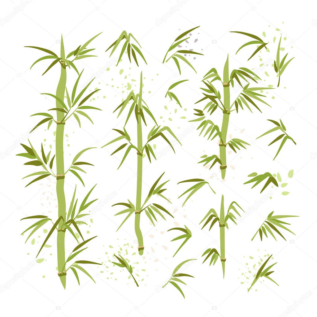 Vector illustration of bamboo leaves, stems, brunches. Green ecology environmental set of East Chinese and Japanese plant. Spa and ecology Bamboo illustration.