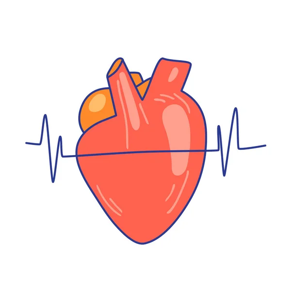 Illustration vectorielle plate du cœur avec une ligne de battement de cœur au-dessus, isolée sur fond blanc — Image vectorielle