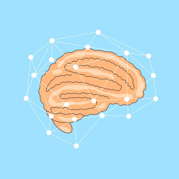 Ilustração vetorial plana do cérebro com rede de linha em torno dele. Conceito cerebral, Ícone de órgão humano —  Vetores de Stock