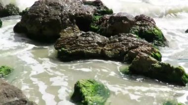 Deniz dalgaları tarafından dövülerek kıyı kayalar