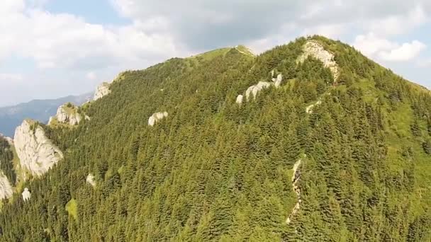 Sentier forestier avec randonneurs en montagne, prise de vue aérienne — Video