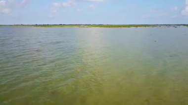 Göl Danube Delta, Romanya