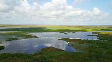 Danube Delta, Romanya, sulak alan hava sahne