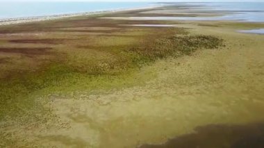 Tuna deltası vahşi, Romanya