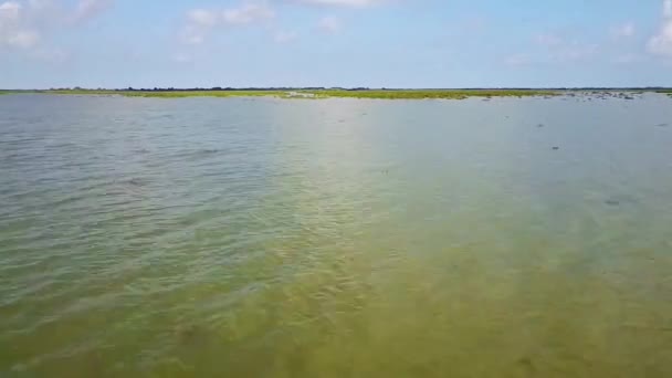 Lac dans le delta du Danube, Roumanie — Video