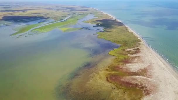 Danúbio Delta, Roménia, região húmida perto da costa do Mar Negro — Vídeo de Stock