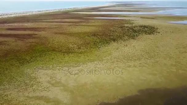 Delta du Danube sauvage, Roumanie 