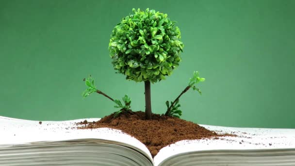 De boom van de kennis — Stockvideo
