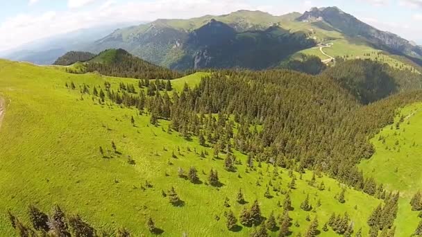 Пихтовые леса в горах Чукас, Румыния — стоковое видео