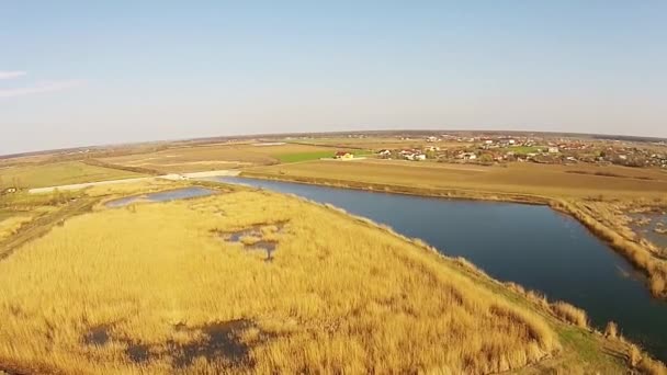 Reed roślinności w pobliżu sztuczny staw, widok z lotu ptaka — Wideo stockowe