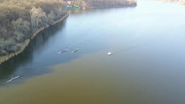 Remo entrenando en el lago, vista aérea — Vídeos de Stock