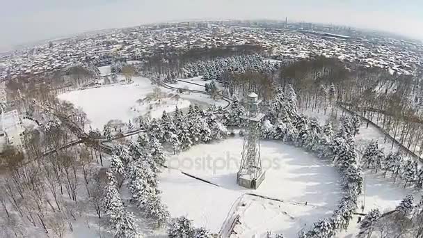 Widok z lotu ptaka wieży skoki spadochronowe w zimie — Wideo stockowe