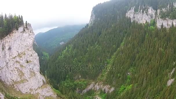 Zanoaga Canyon  , Bucegi Natural Park , Romania — Stock Video