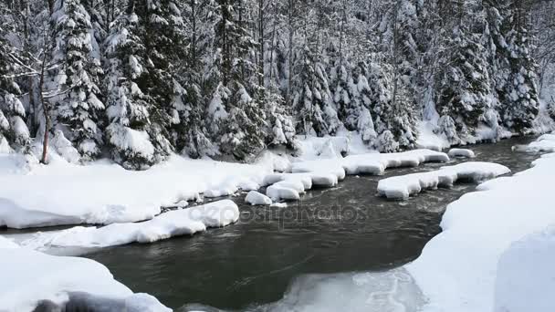 Acqua Corrente Piccolo Fiume Tra Ciottoli Inverno Con Neve Polverosa — Video Stock