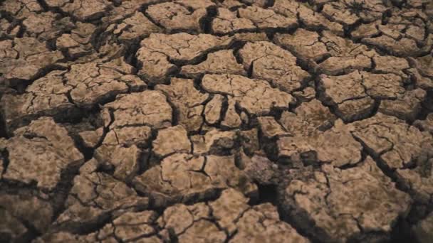 Desert Hard Drought Big Cracks Waterless Arid Ground Global Catastrophe — Stock Video