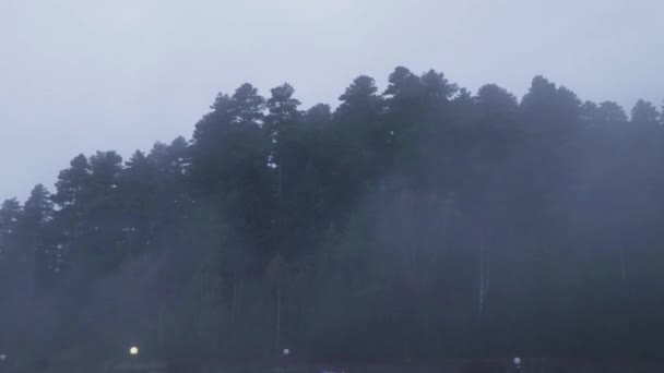 Nebbia Alberi Una Montagna Autunno Grandi Alberi Sempreverdi Alti Nebbia — Video Stock
