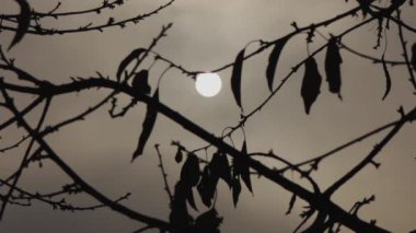 Kirlilik ve güneşi gizleyen kara bulutlar. Güneşin sisli manzarası.