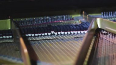 Piyano çalıyor. Çalarken ses ve melodi yaratmak için çekiçlerin vurduğu piyano telleri..