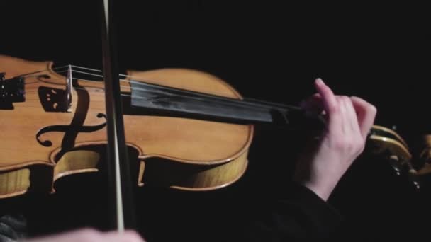ヴァイオリニストがスローモーションでバイオリンを弾く 舞台上の暗闇の中でヴァイオリンを演奏する音楽家 — ストック動画