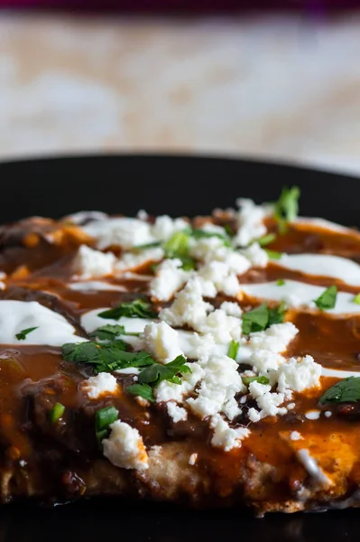 Vegetarian Mexican food, enfrijoladas. A type of enchilada dish of fresh cheese wrapped in corn tortilla and bathed in a spicy black bean sauce, topped with cream, cheese, spicy sauce and cilantro — Stock Image Vegetarian Mexican Food Enfrijoladas Type Enchilada Dish Fresh Cheese Wrapped Royalty Free Stock Images
